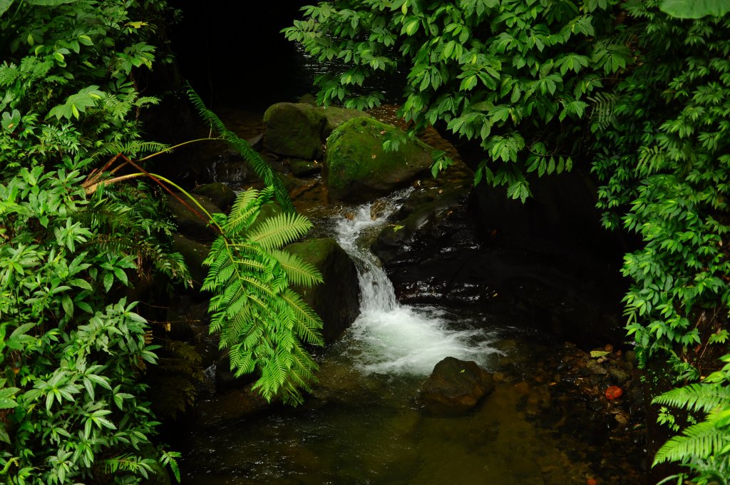 新竹水濂橋步道_656057