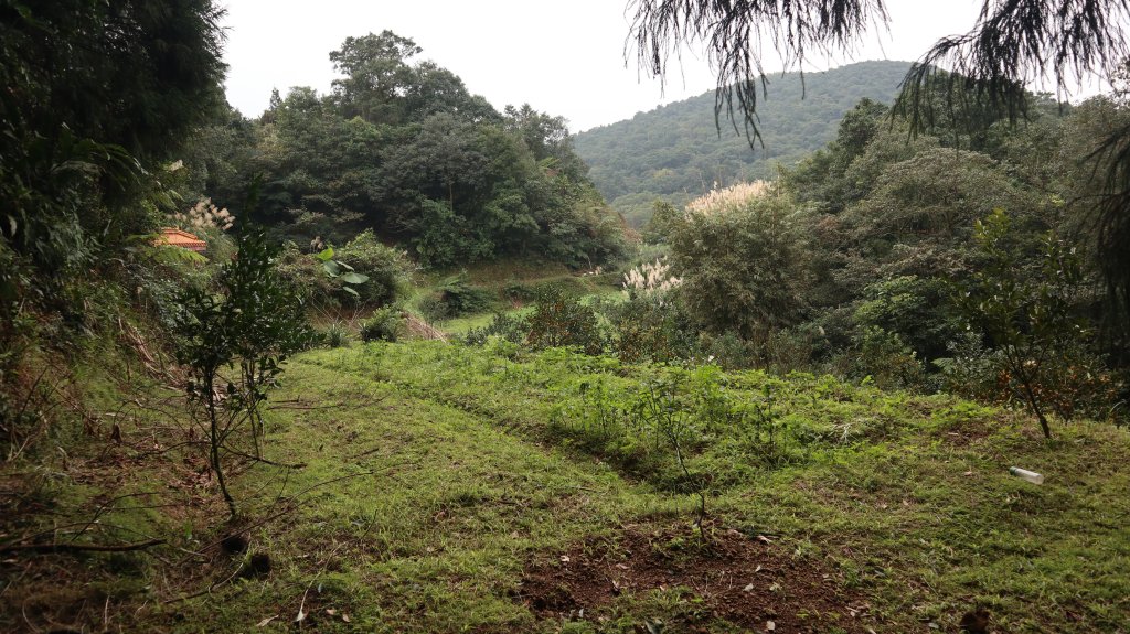 獵貍尖步道連走烏塗溪步道登山健行趣(淡蘭南路TK3-6&TK3-5&TK3-4)_2404490