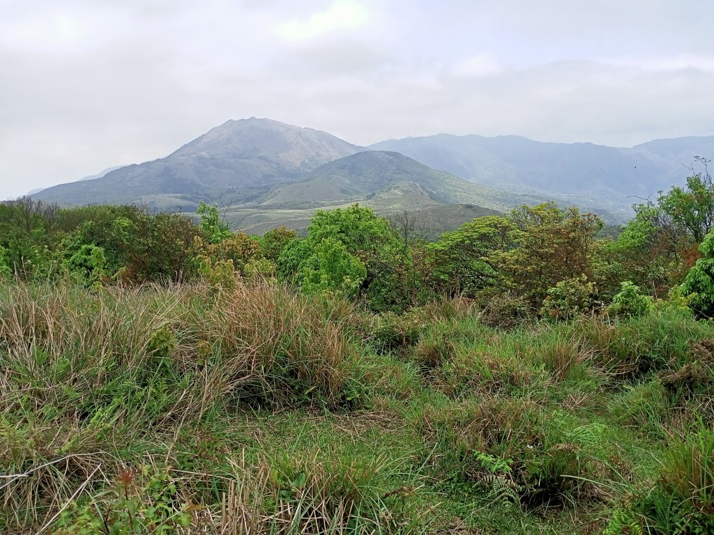【臺北大縱走 3】擎天崗→石梯嶺→頂山→風櫃口_2106937