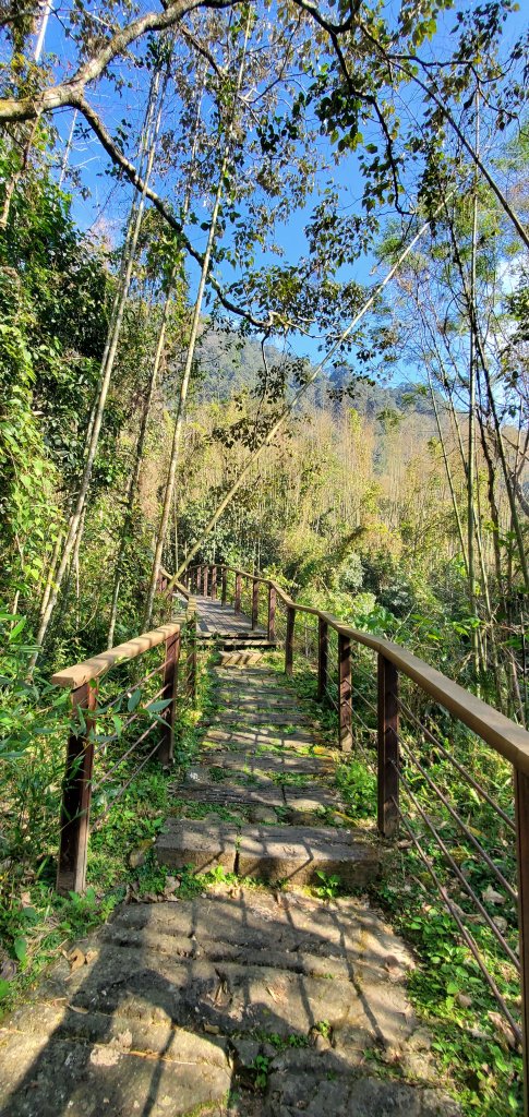 2025-01-30迷糊步道_2704447