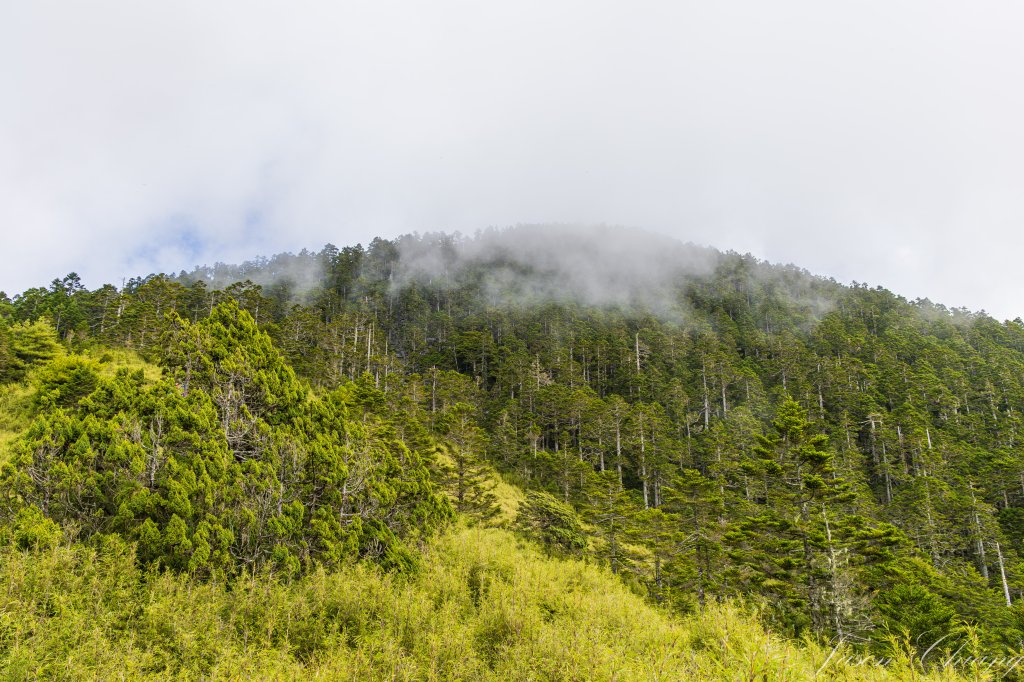 [百岳]中橫特辣白姑大山封面圖