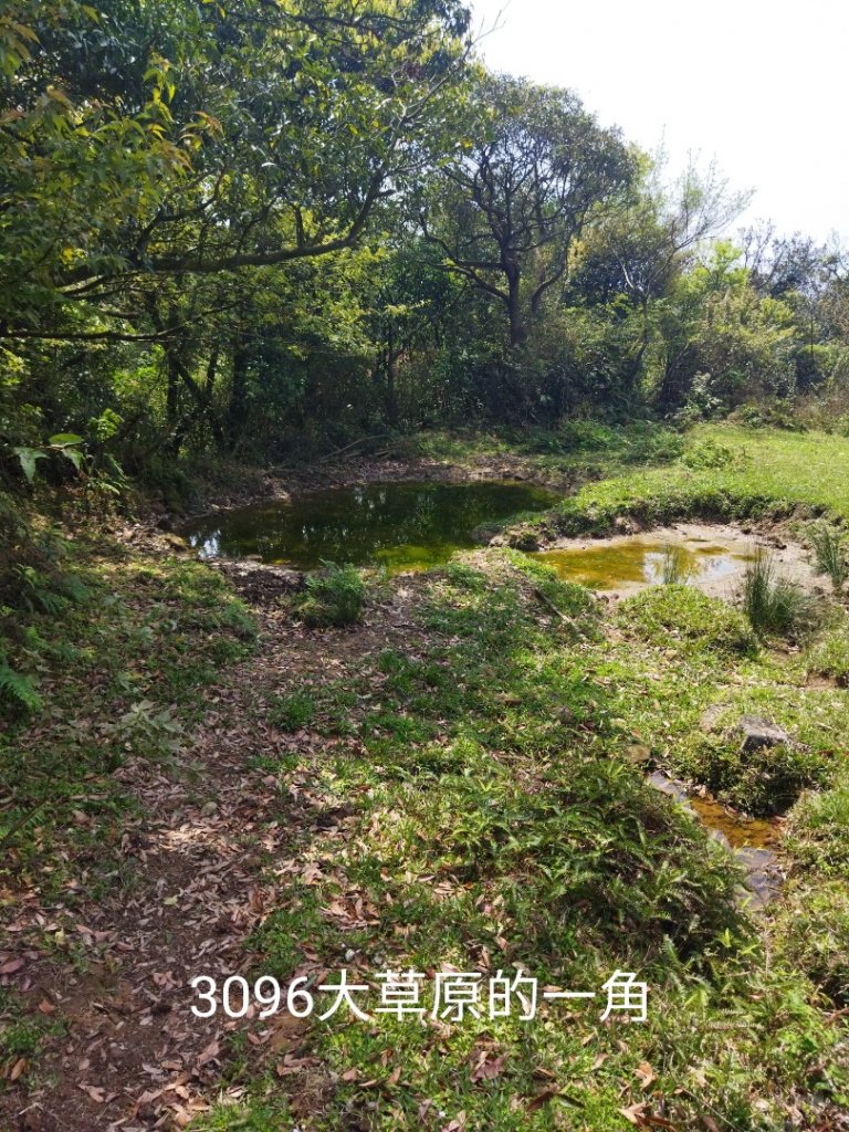 陽明山十七草原連走_1650365