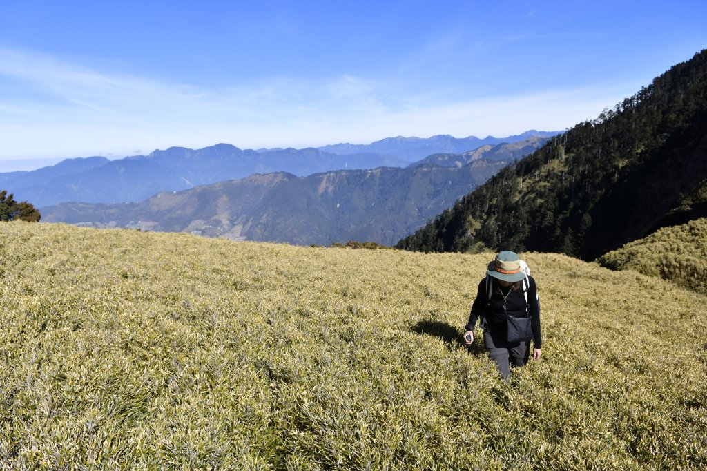 尋一段老獵路：深堀山西南稜（順訪卡賀爾山）_916781