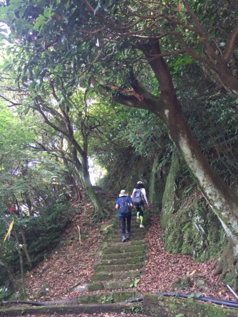 淡蘭古道-北路_986120