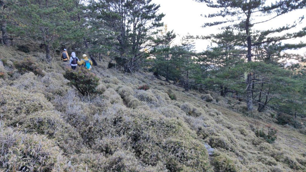 布拉克桑山單攻O繞嘉明湖戒茂斯山 2024年12月8日_2667003