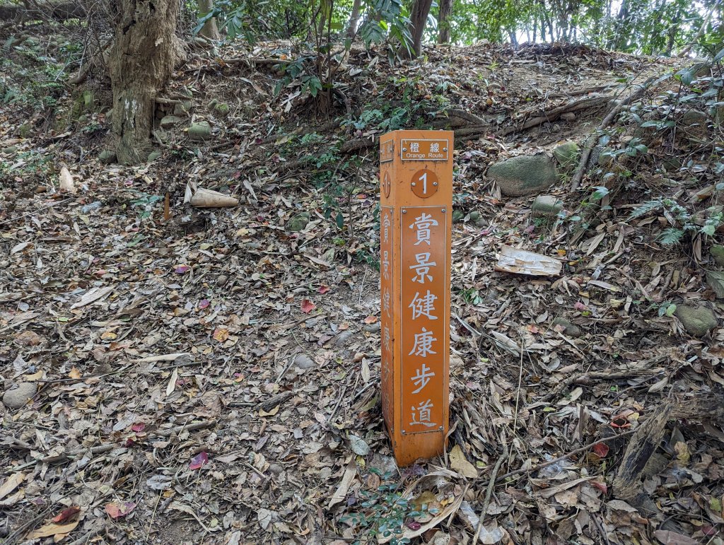 桃園虎頭山七連峰Ｏ型路線_2040488