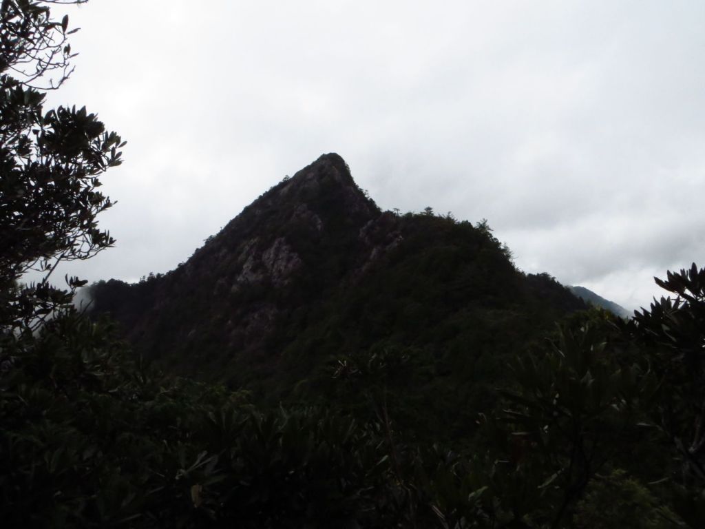 鳶嘴稍來山步道健走_117162