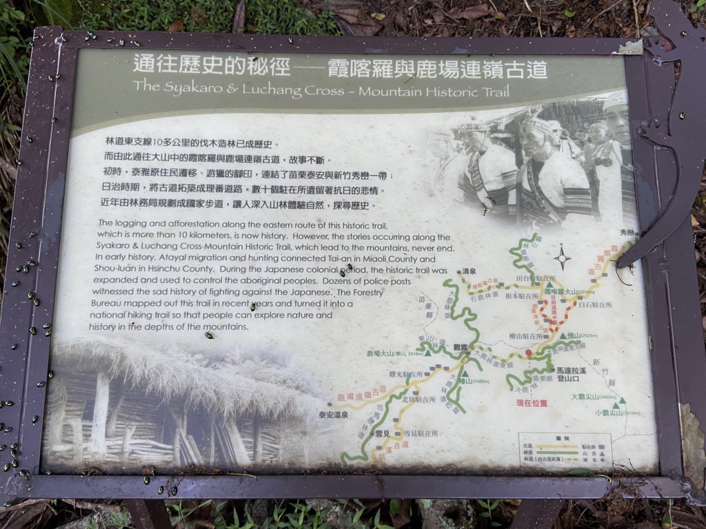 氣勢磅礡大霸尖山_1729787