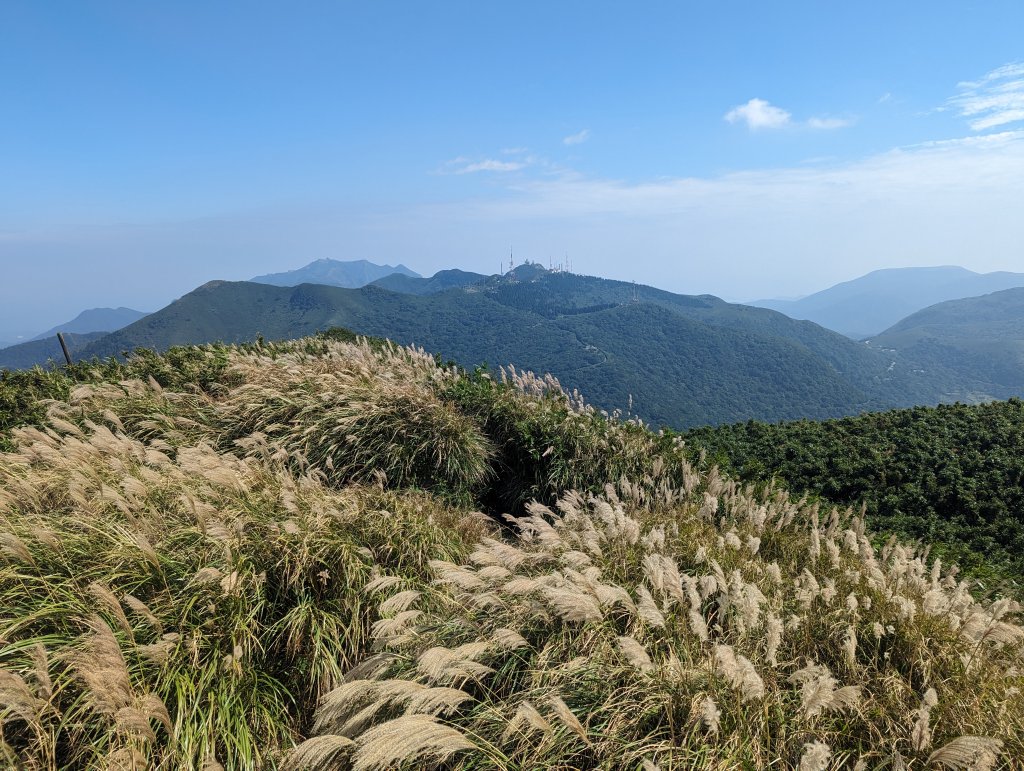 秋天賞芒行@大屯山連峰步道封面圖