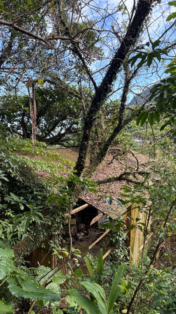 漫遊陽明山_2952006