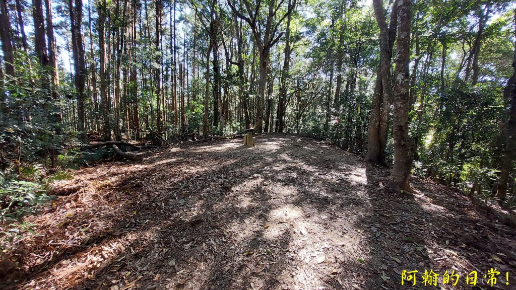 高島縱走_2686882