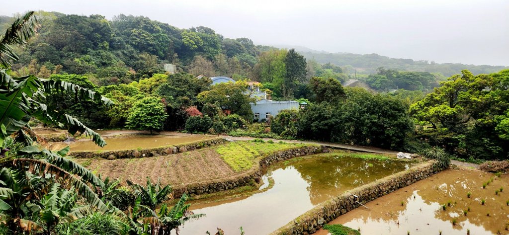 北投大砲岩，石壇山，三芝大屯溪古道，三板橋，三峽白雞山，雞罩山，石門內尖山，中和外員山，中坑山東北峰_2073334