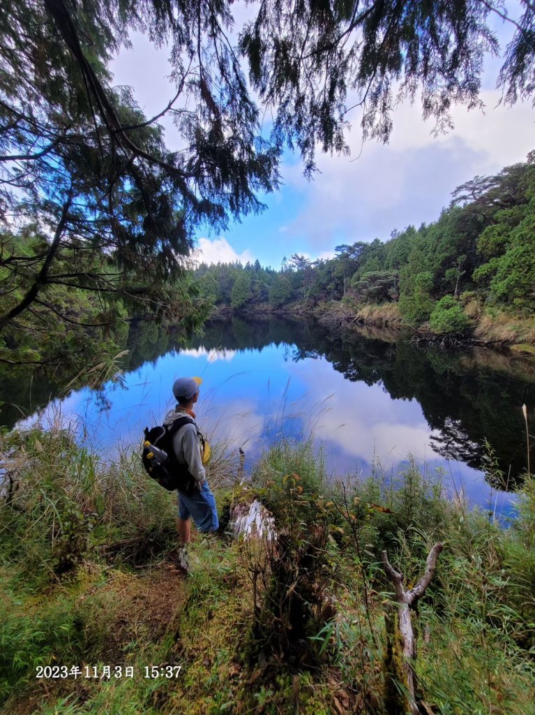 三星山+三星池+望洋山+太平山山毛櫸_2432897