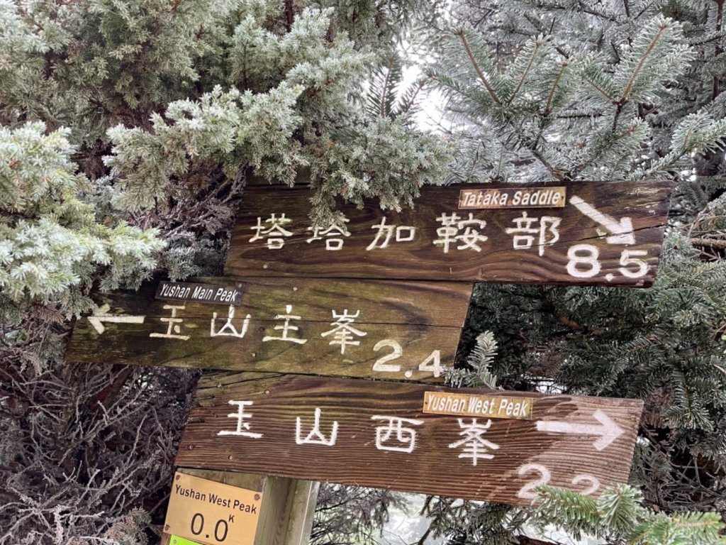 絕美銀白世界 玉山降下今年冬天「初雪」_1235994