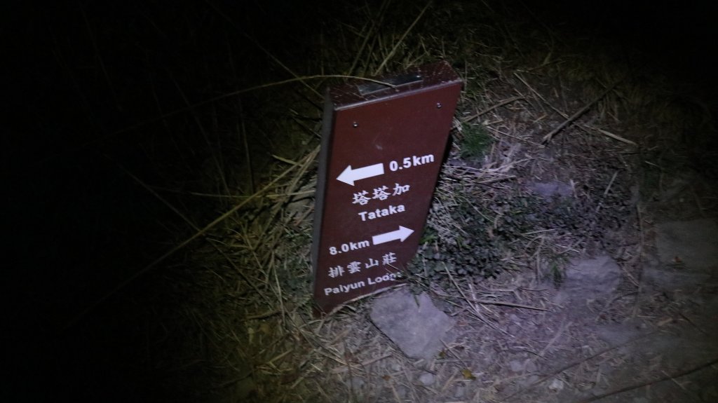 玉山主峰登山健行趣(百岳01號)_2041363