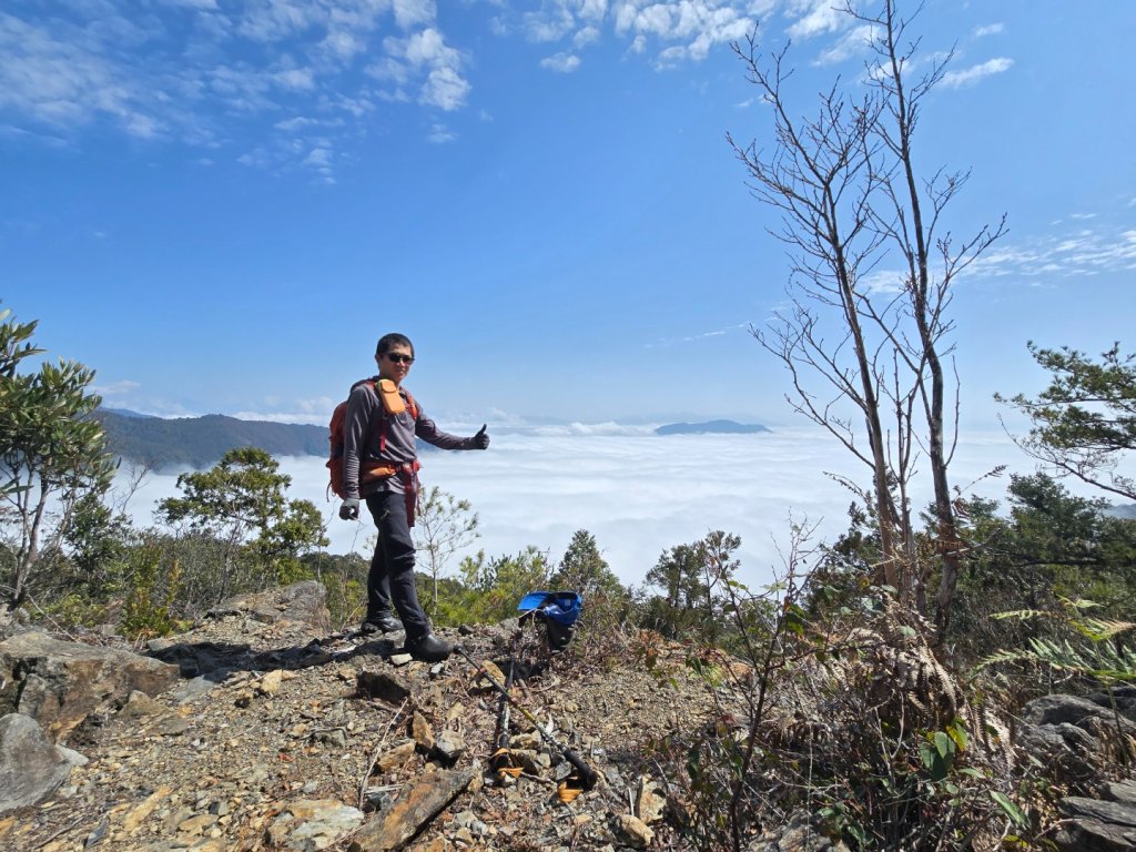 蝶夢八唐（裡冷登山口往返）八仙山出雲海下山順賞富士櫻_2722721