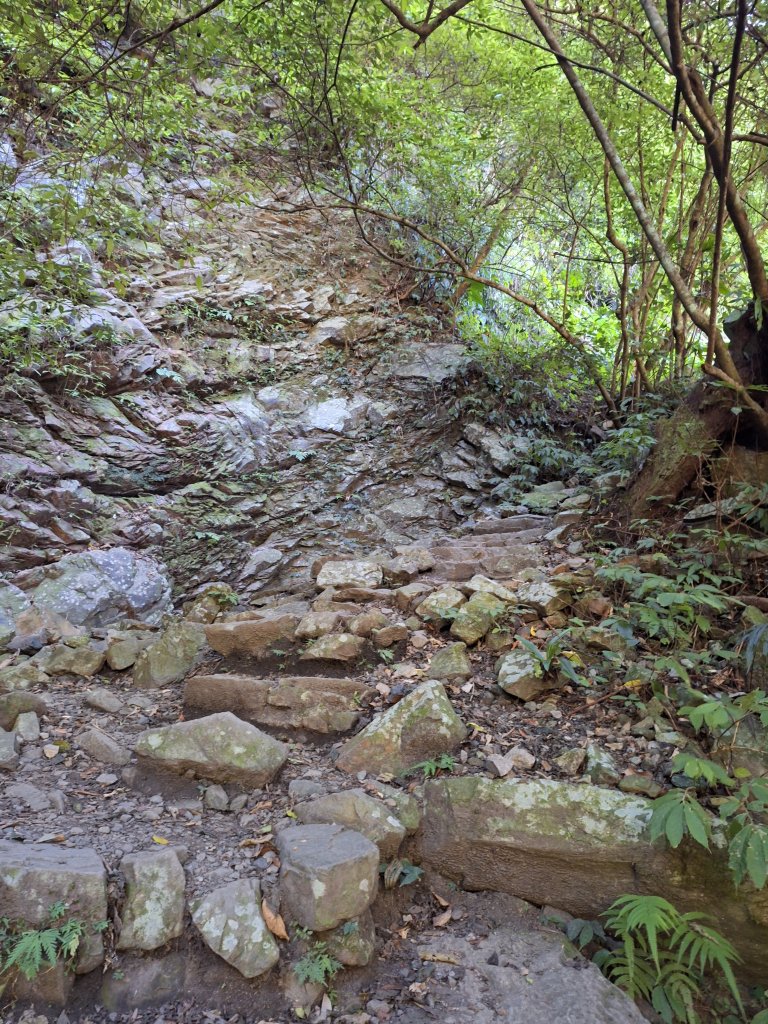 谷關蝴蝶谷瀑布20251120_2940839