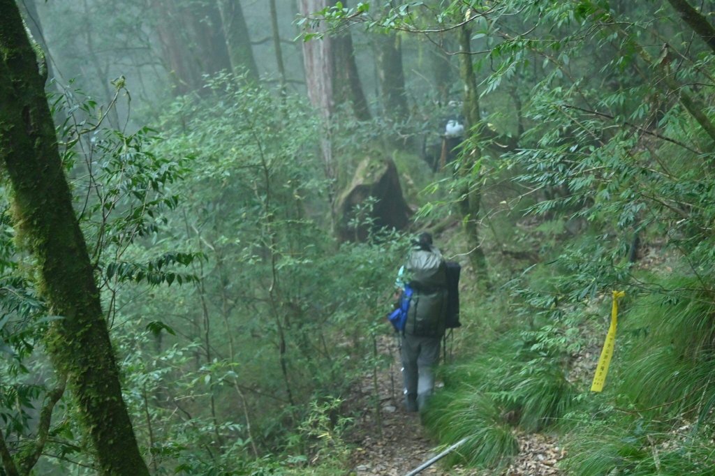 2022.12.15_20干卓萬橫斷_2012592