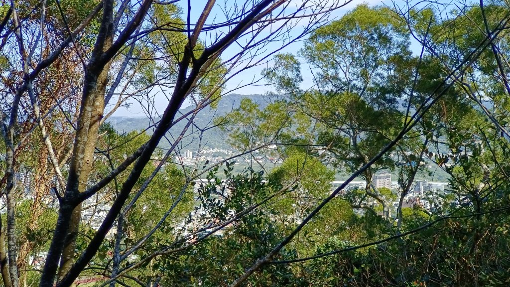 (姨婆趴趴走)第四十五集:新竹竹東三山（新具庄山、樹杞林山、員崠子山）環狀縱走_2662284