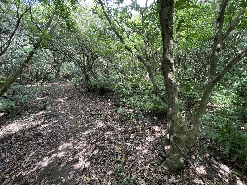 巴拉卡四秀_2601778