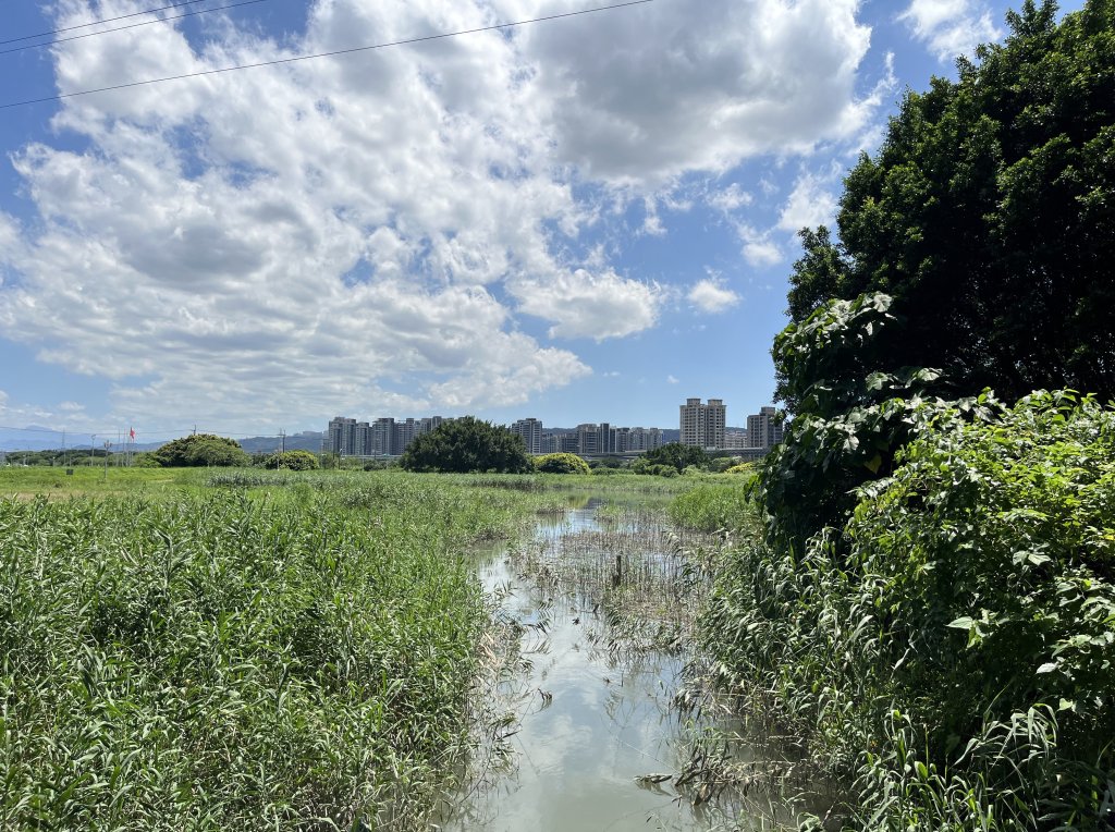 [跟著2025雙北世壯運探索雙北市-8/21] 2025_0615 微風輕艇航線（蘆洲微風園區）封面圖