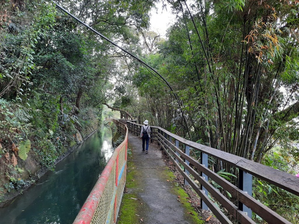 《台中》石岡電火圳生態步道1115_1170144