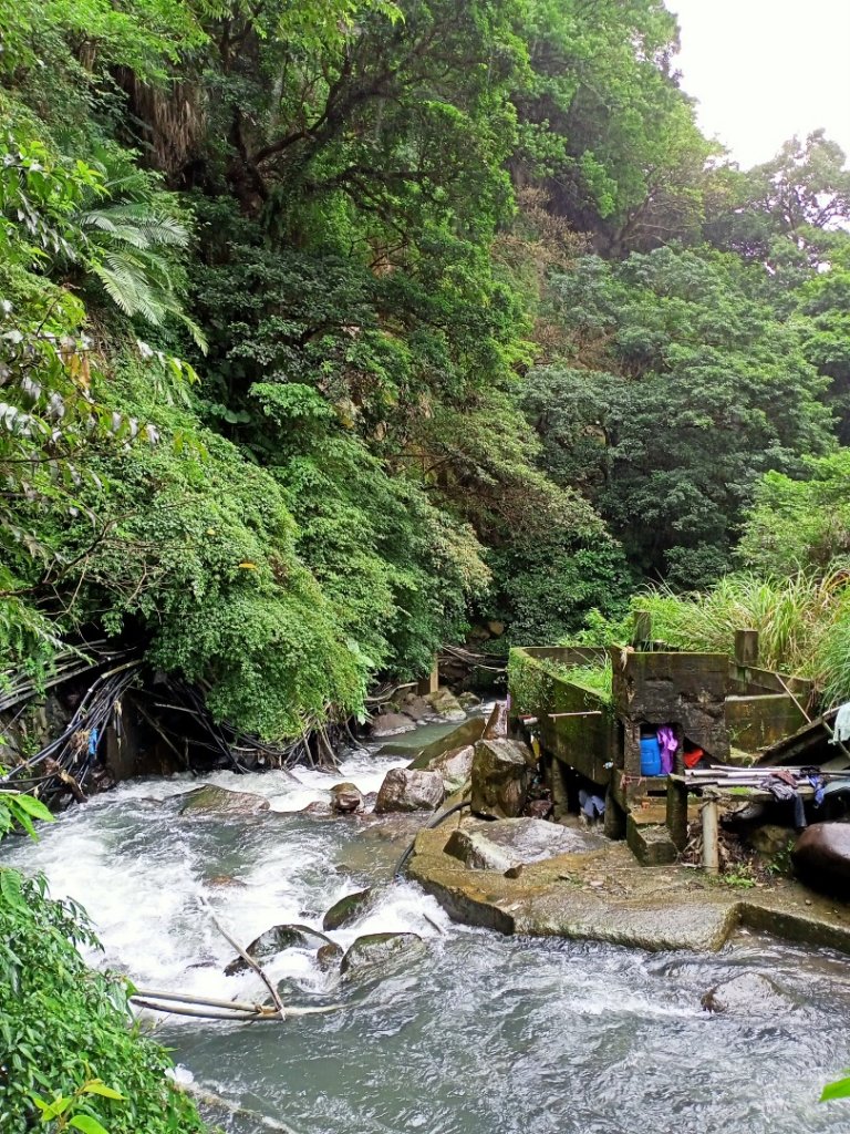 天母-猴洞-湖山-半嶺步道-龍鳳谷逍遙遊_1138654