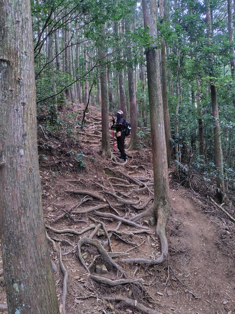 長壽山、肥崠山、醜崠山、大崠山、大崠山經建版_2931527