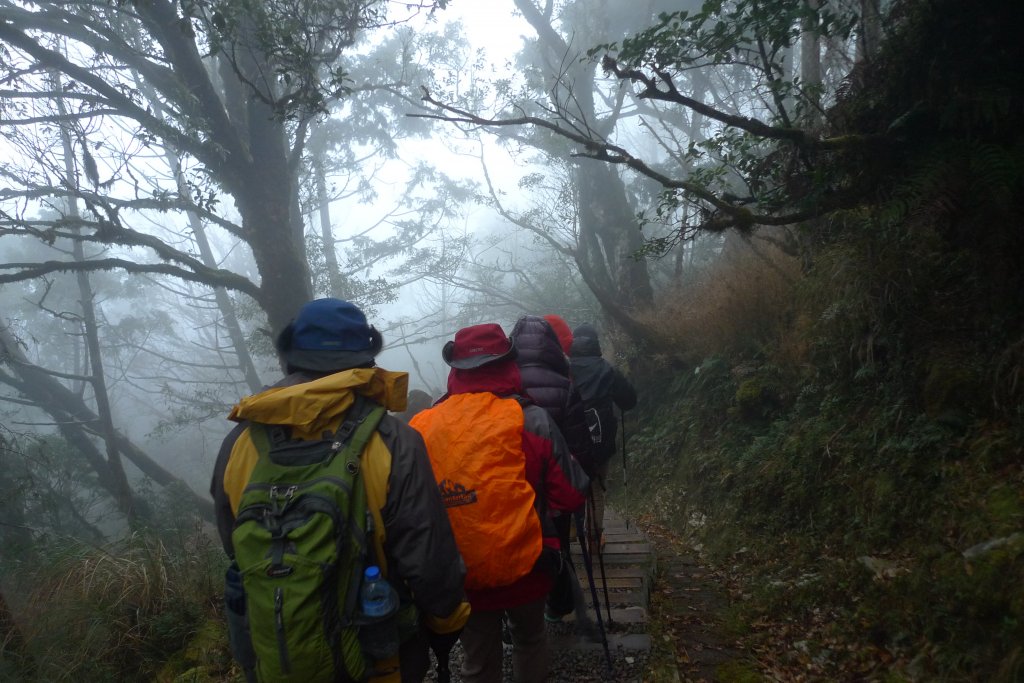 太平山翠峰湖環山步道_963400