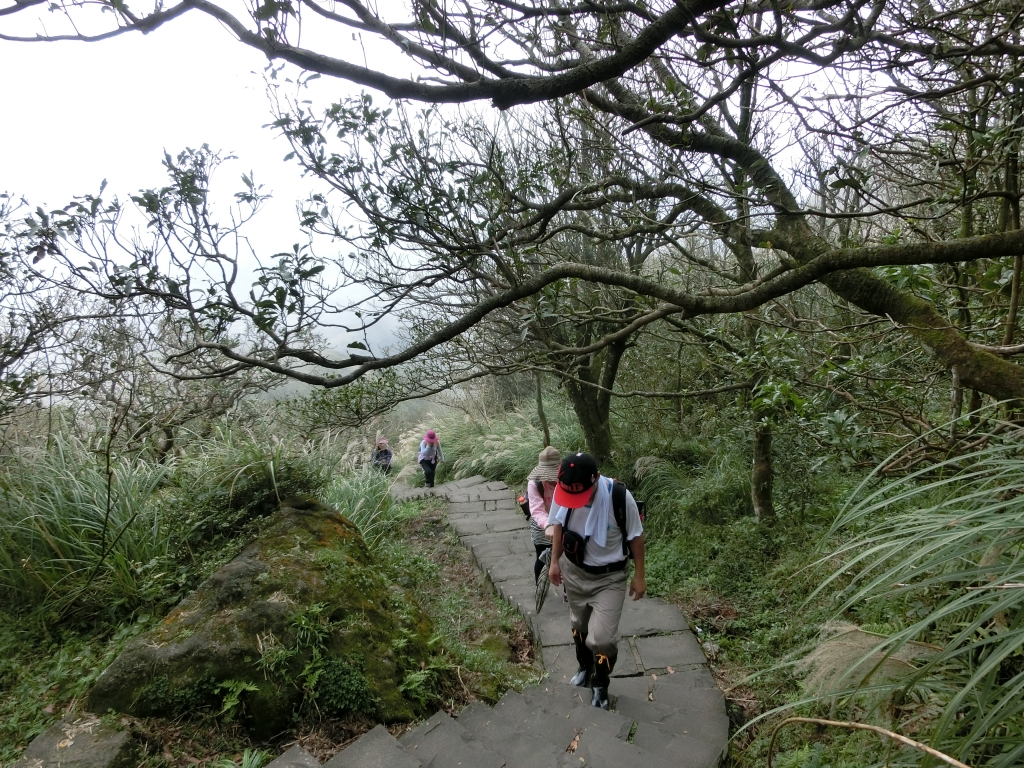 小油坑．七星山主峰．東峰．夢幻湖_94974
