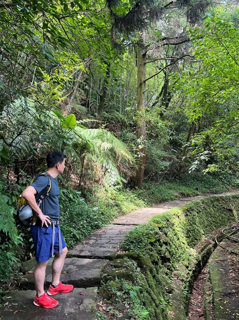 台北 陽明山 絹絲瀑布-擎天崗_2722166