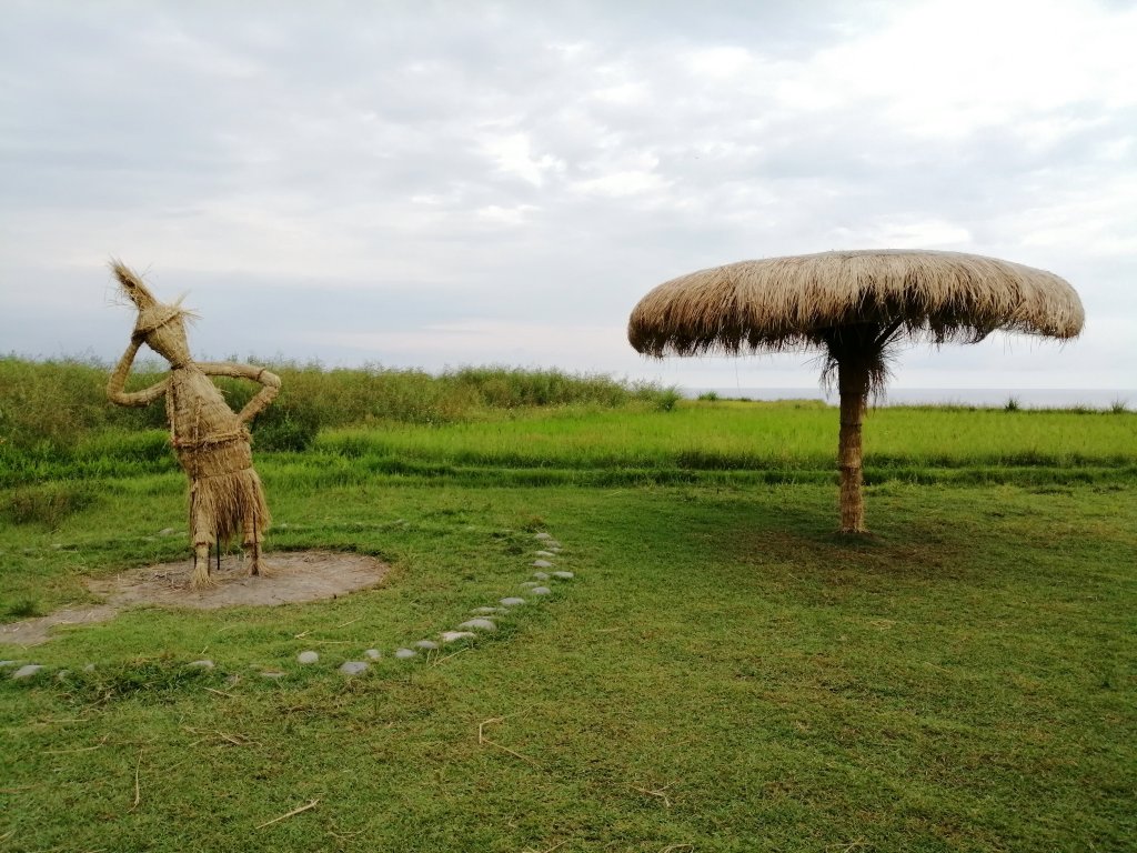 綠色稻田一路向海去。 新社梯田_733634