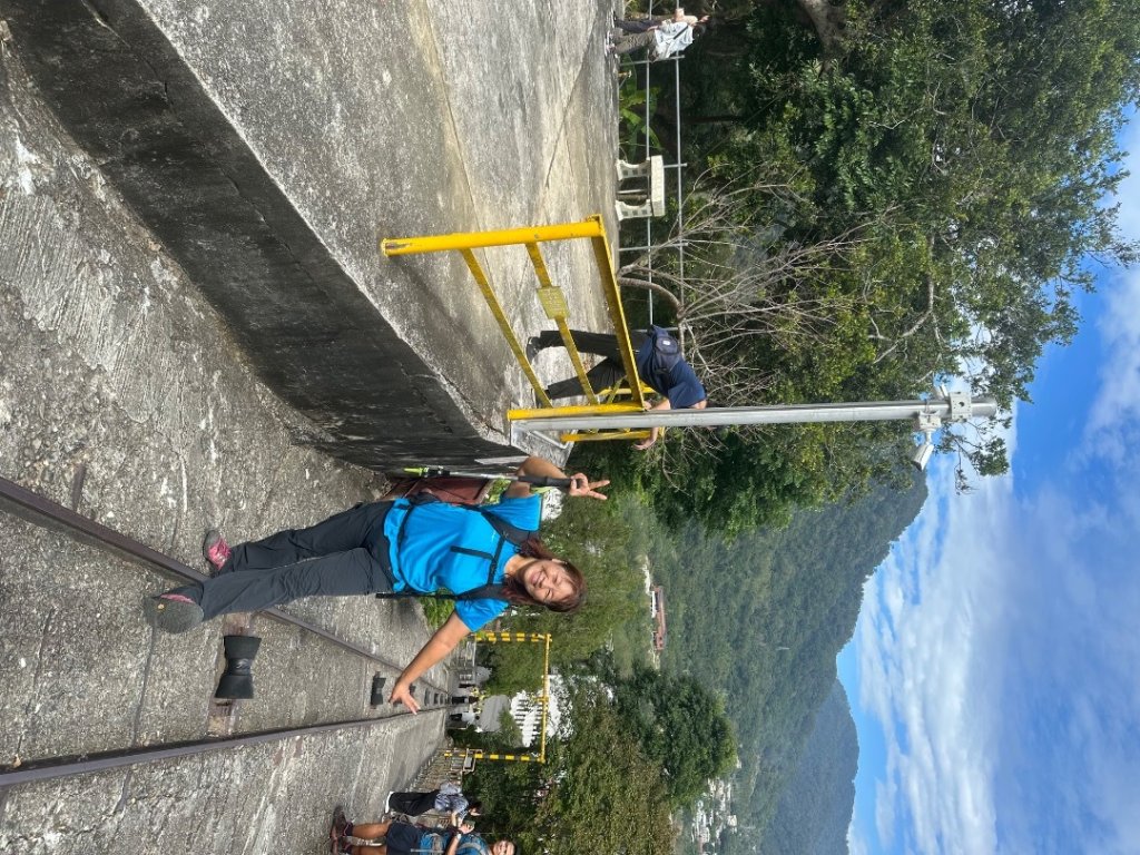 苗栗出磺坑古道、銅纙坑菊_2951539