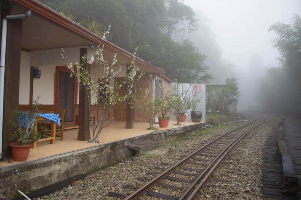 步道巡訪員│四大天王山步道一月巡訪日誌_817774