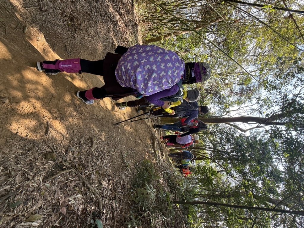 鳳鳴-龜山-鶯歌六連峰縱走/樹林大凍山-鶯歌蛋石山-鶯歌陶瓷博物館_2697059