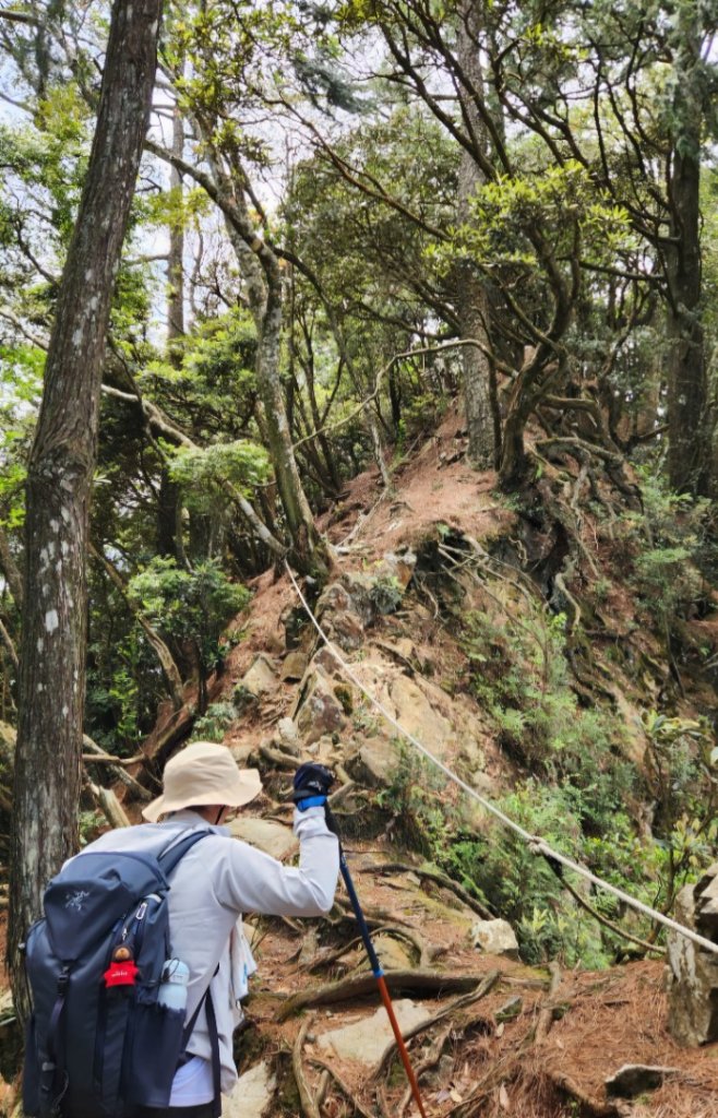 【中級山縱走】最美中級山，鳶嘴西稜縱走（鳶嘴山，醜崠山，長壽山）_2741350