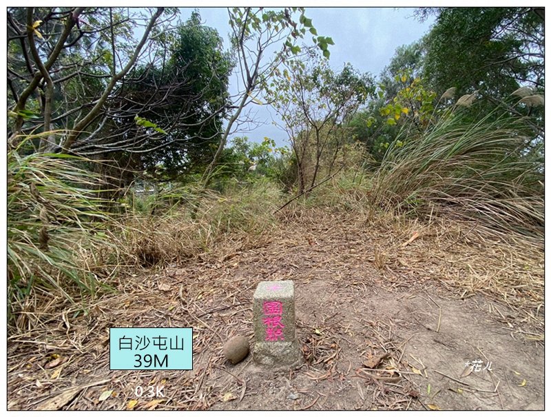 三媽縱走 ( 半天寮山、好望角、白沙屯山 連走 )_2973288