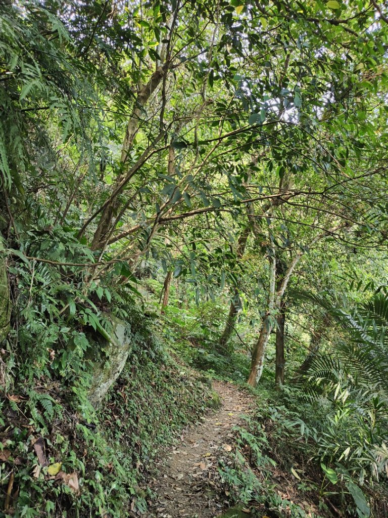 2023.04.13 大艽芎古道登溪洲山_2111590