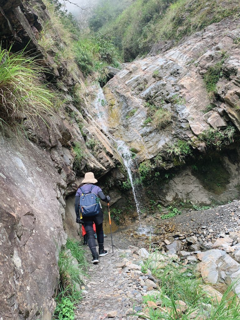 202八通關古道(東埔到雲龍瀑布段)_1143260