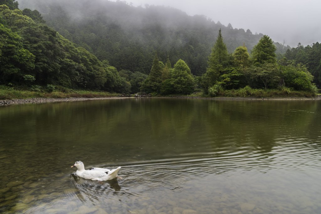 2020-9-28明池封面圖