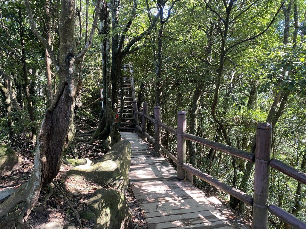 1111104東眼山_2673078