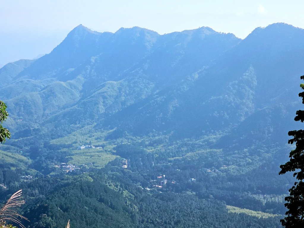 金柑樹山、忘憂森林步道-(南投)臺灣百大必訪步道封面圖