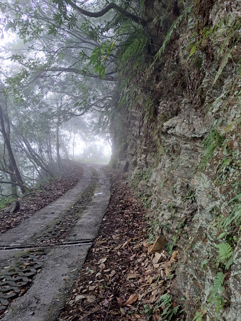 砂卡礑二日行D1：得卡倫步道→大禮部落→砂卡礑林道→立霧山→大同部落20231202_2368262