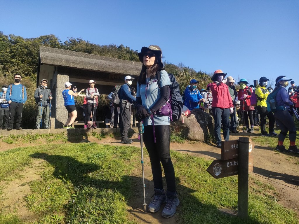 20220313 陽明山大縱走東段~風櫃嘴到小油坑_1641881