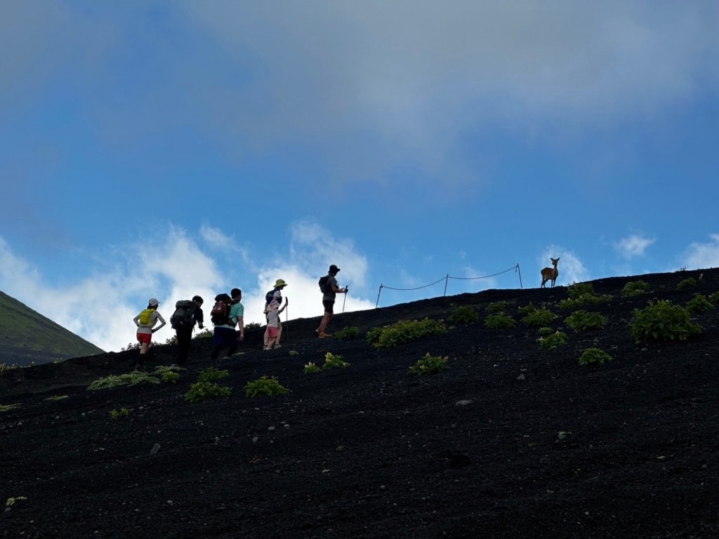 富士山御殿場線~海拔0至3776_2558985
