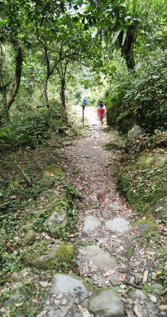 松羅國家步道_368741