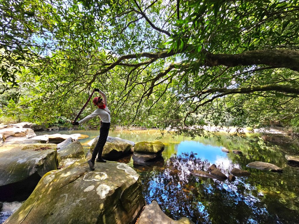 虎豹潭古道、大平山腰古道、樓仔厝古道O型走_2232455