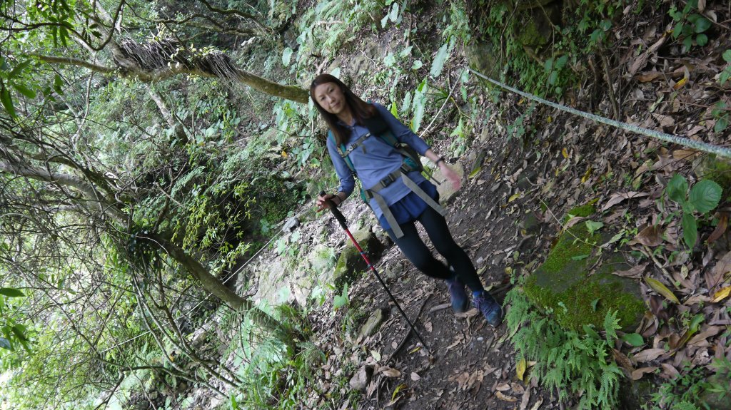 錐麓古道登山健行趣(古道)_1742036