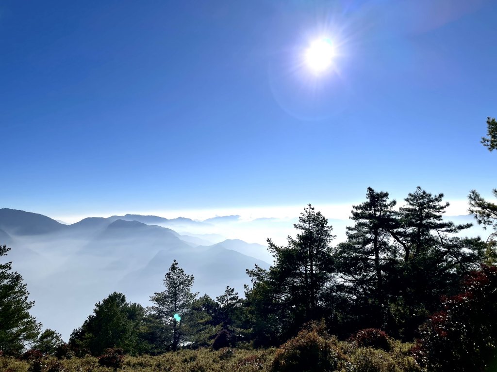 【挑戰百岳】郡大山｜箭竹、大景、雲海封面圖