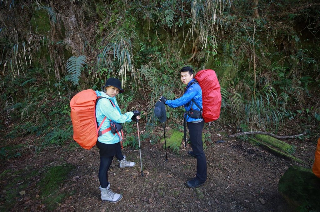 水樣森林 第一次在山裡過夜_658831